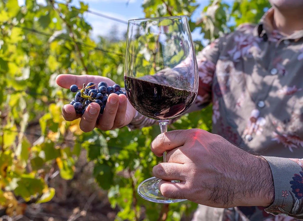 Cabernet vs. Merlot: Which One is Better? - Uptown Spirits
